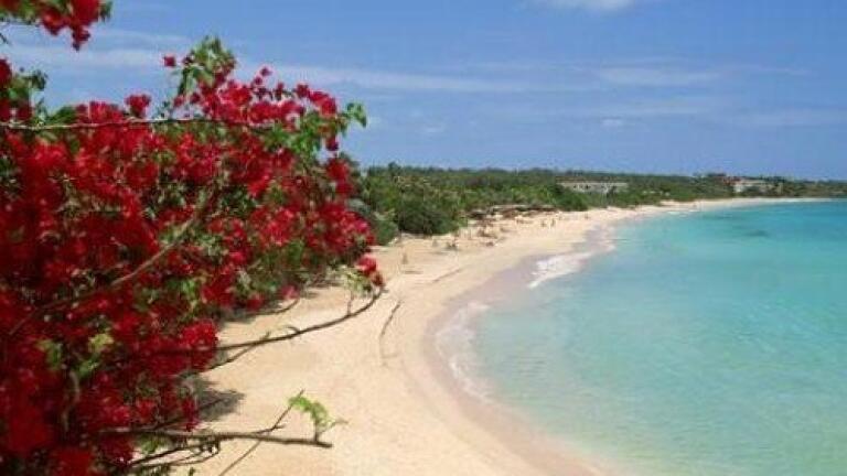Genuine Bio-Fuel to set up facility in Puerto Rico