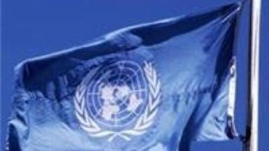 Smallholder farmers cannot get involved in export markets, according to UN
