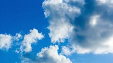 Biofuel news: Microorganisms harvest carbon dioxide from the air