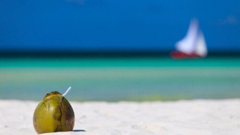 Could coconut oil be used in biofuel?