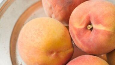 Peaches could hold the key to better biofuel crops