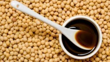 Argentina seeks EPA approval for biodiesel export
