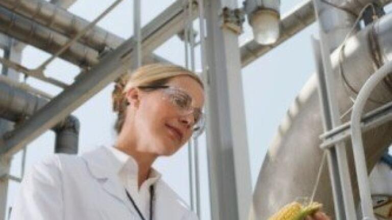 Ultrasound can improve biodiesel production