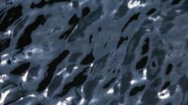Lawsuit filed against Exxon for Mayflower oil leak