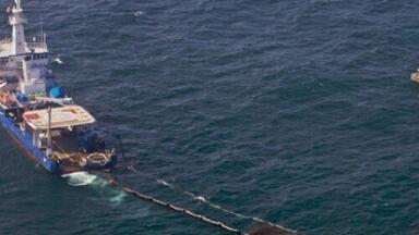 Study reveals Gulf of Mexico oil spill impact