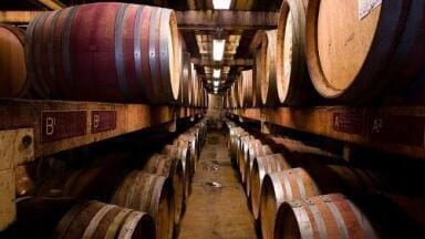Wine could hold key to more efficient biodiesel