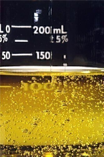 Airport waste oil to be transformed into biodiesel