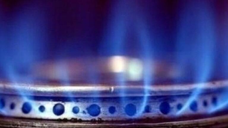 Austria 'should make use of own gas reserves'