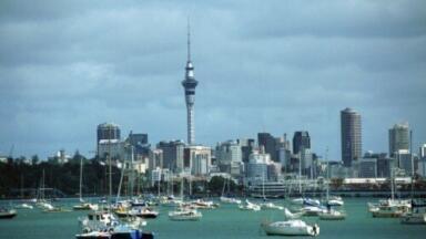 Biodiesel plant planned for New Zealand
