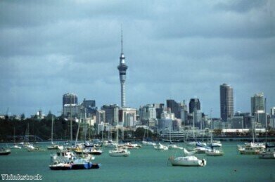 Biodiesel plant planned for New Zealand