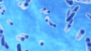 Bacteria found to 'mop up' methane leaks