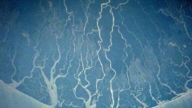 Shell is 'responsible for Niger Delta oil leaks'