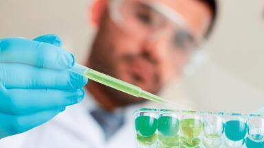 Analytical Solutions for the Petrochemical Industry