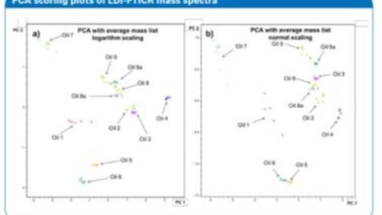 Rapid Molecular-Level Characterisation of Non-Volatile Components of Crude Oil