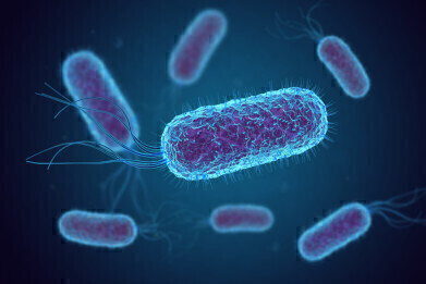 Introducing the Next Producer of Diesel Biofuel - E. Coli Bacteria