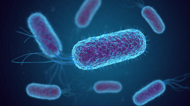 Introducing the Next Producer of Diesel Biofuel - E. Coli Bacteria