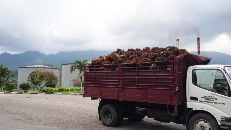 Palm oil mill effluent arriving at site in Malaysia.