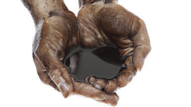 Introduction to the Four Categories of Crude Oil Toxicity