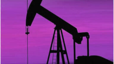 The Determination of Mercury from Oil, Gas and Petrochemical Samples  