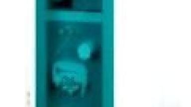 Compact Intelligence for Ion Chromatography