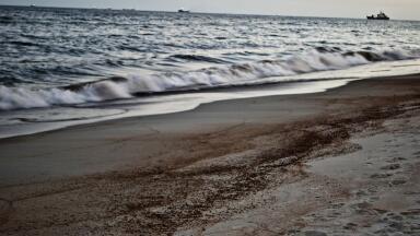 BP Oil Spill – 5 Years On