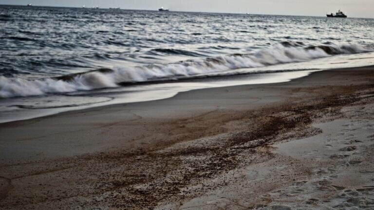 BP Oil Spill – 5 Years On