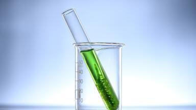 Why Is Europe Capping Crop-Based Biofuels?
