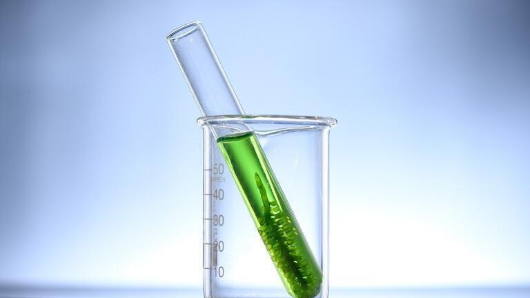 Why Is Europe Capping Crop-Based Biofuels?