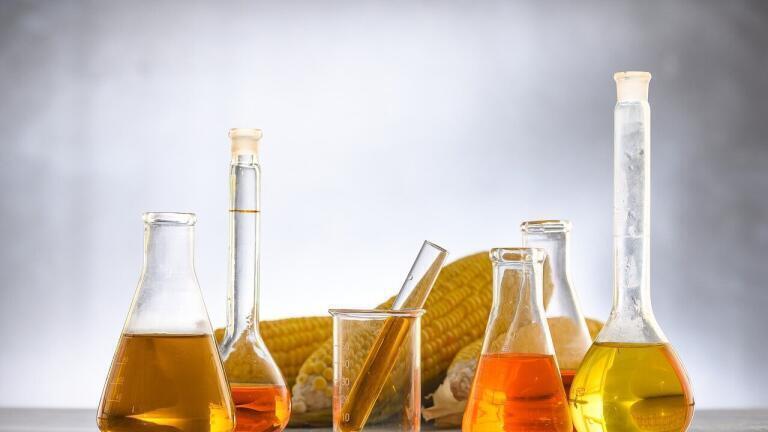 How Are Low Oil Prices Affecting Biofuels?