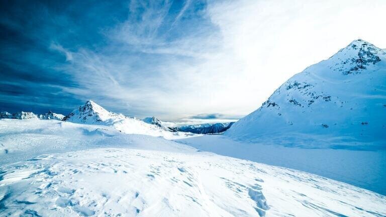 Greenpeace Launches Musical Protest Against Shell’s Arctic Drilling  