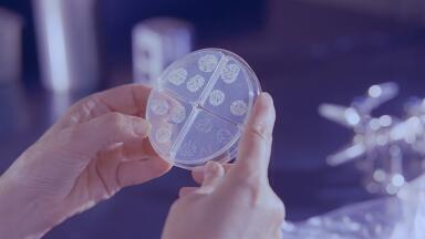 Step Over Petroleum - Bacteria is Here to Save Us!