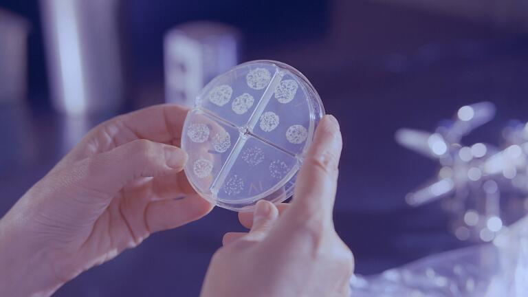 Step Over Petroleum - Bacteria is Here to Save Us!