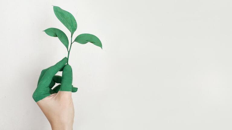 Can Biofuel Ever Become Mainstream?