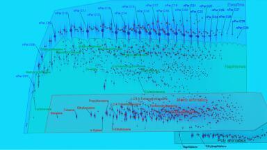 Turn-Key Group Type Analysis Solutions for Middle Distillates - Comprehensive GC made simple
