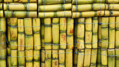 Brazil Pioneers the Rise of `Second Generation` Biofuel
