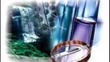 The First High Performance Wax Column for GC and GC/MS Analysis of Polar Compounds