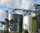New Biodiesel Plant Opens in Latvia.