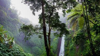 Ecuador Begins Drilling On the Edge of an Inhabited Rainforest