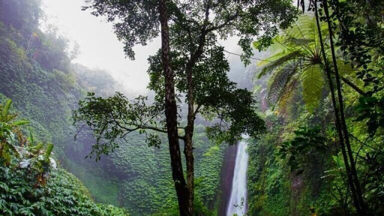 Ecuador Begins Drilling On the Edge of an Inhabited Rainforest