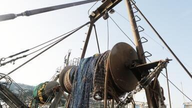 BP Agrees to Fork Out Final US$1 Billion of Deepwater ‘Seafood Compensation Claim’