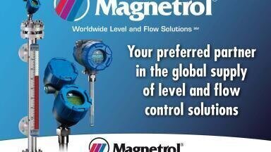 Global Level and Flow Expertise for Dynamic Complex Process Environments