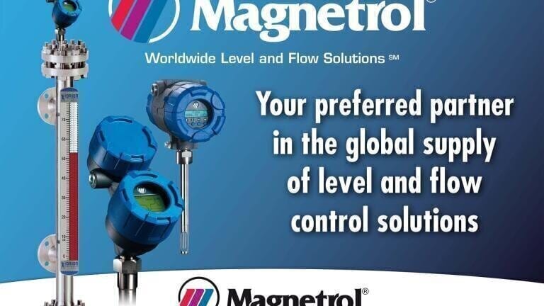 Global Level and Flow Expertise for Dynamic Complex Process Environments