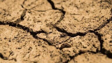 Have Oil and Gas Discoveries Dried Up?