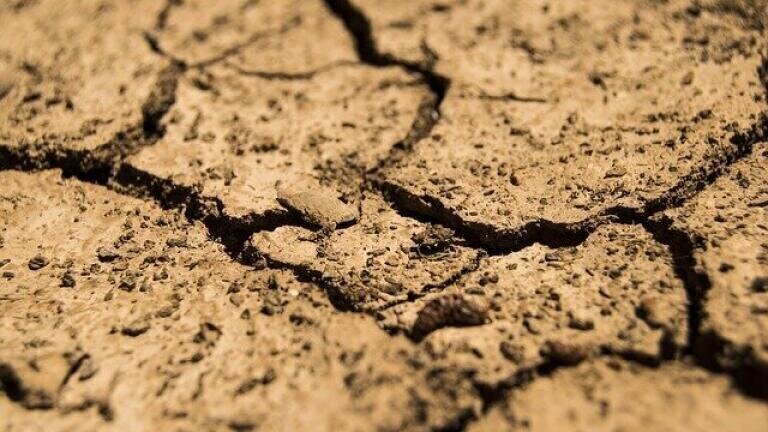 Have Oil and Gas Discoveries Dried Up?
