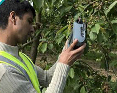 Hand Held Imaging Fluorometer for Optimising Crop Spray Deposits Trialled on Cherry Orchards in Kent