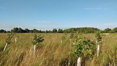 Kier Living Commits to Creating New Woodland to Mitigate its Carbon Usage