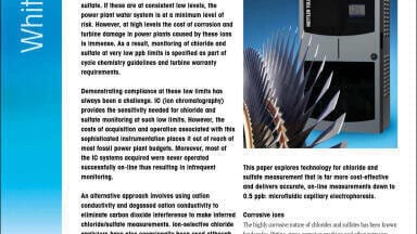 On-line Chloride and Sulphate Monitoring for Corrosion Prevention