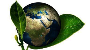 How Can Catalysis Save Diesel?