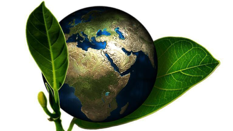How Can Catalysis Save Diesel?