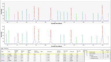 True Workflow-Oriented Software for Detailed Hydrocarbon Analysis